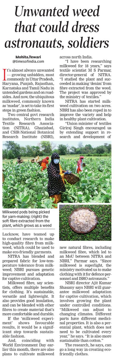 csirnbrilko's tweet image. 🌿 From Weed to Wonder!
CSIR-NBRI & NITRA are transforming milkweed—an unwanted roadside plant—into eco-friendly fibre for sustainable clothing! 👕✨
News covered by @MohitaTOI @timesofindia
#SustainableFashion #CSIRNBRI #NITRA #MilkweedFibre
@akshasany @CSIR_IND @NITRAgzb