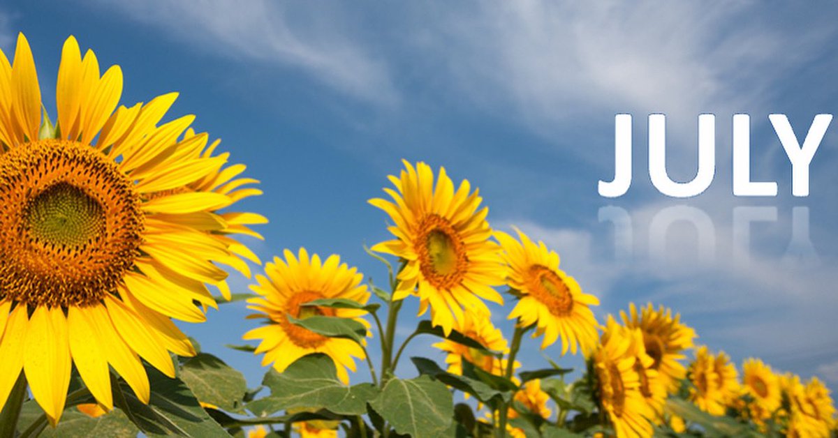 lorie_jackson's tweet photo. 🌞 Hello, July.
We’re standing in the center of the year—
Six months behind us, six ahead.
Not a finish line. Not a starting gun.
But a pause.
A breath between becoming and blooming.

1/4 https://t.co/qDBOLv7eSt