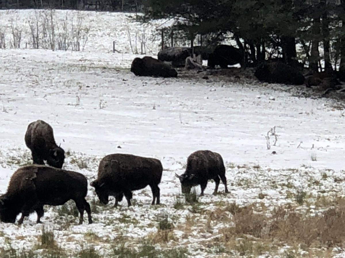 abrarhashmi88's tweet image. Happy Independence Day to Canadian friends on their celebration of 158 years of vibrancy, diversity, inclusivity and fantastic achievements and more. Stay blessed #OhCanada 🇨🇦