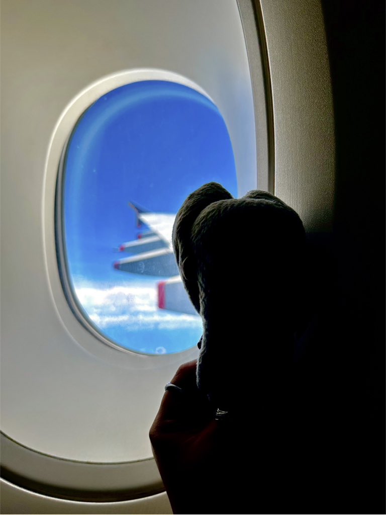 ChibiSepphy's tweet image. ✈️