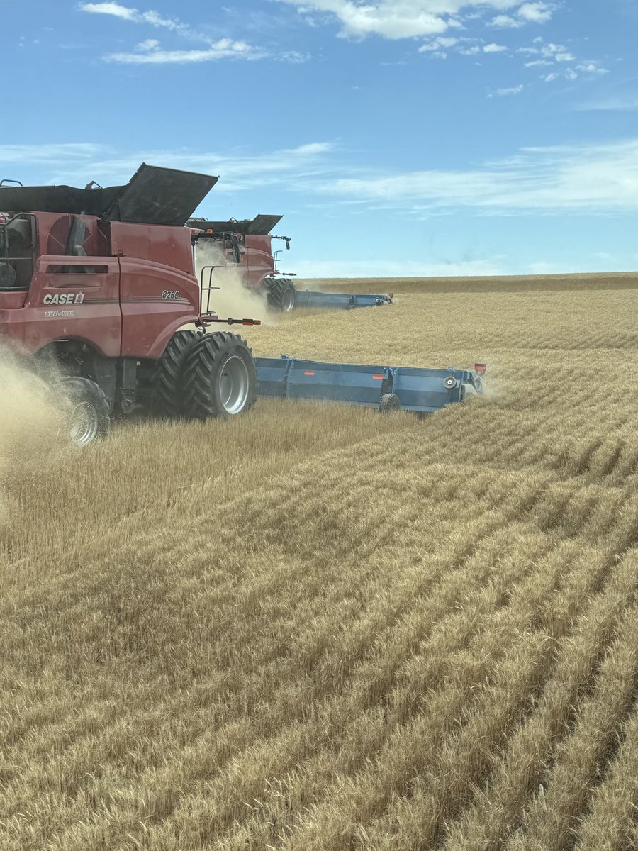 Harvest 2025 is a go!