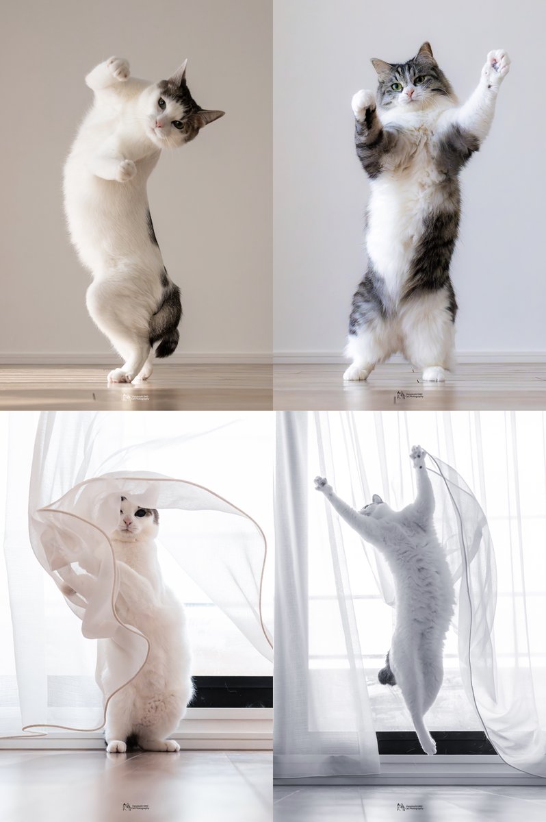 #2025年自分が選ぶ今年上半期の4枚 

カーテンの使い方がうまくなってきた気がする