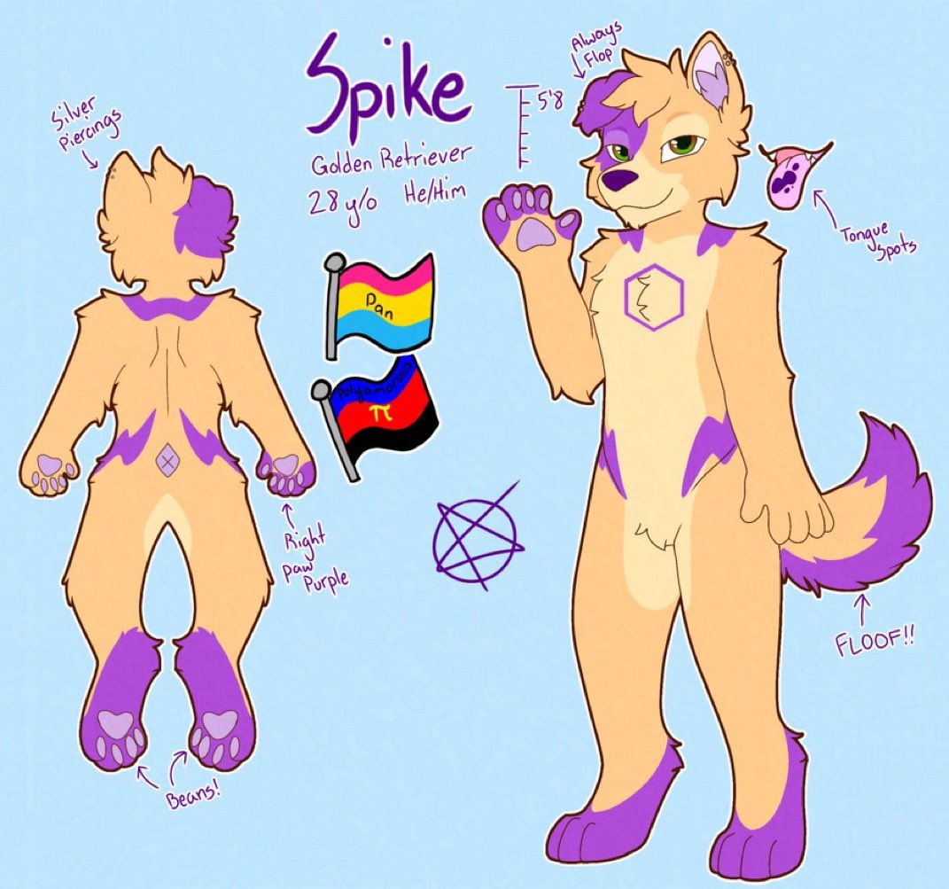 SpikeTheMutt tweet media