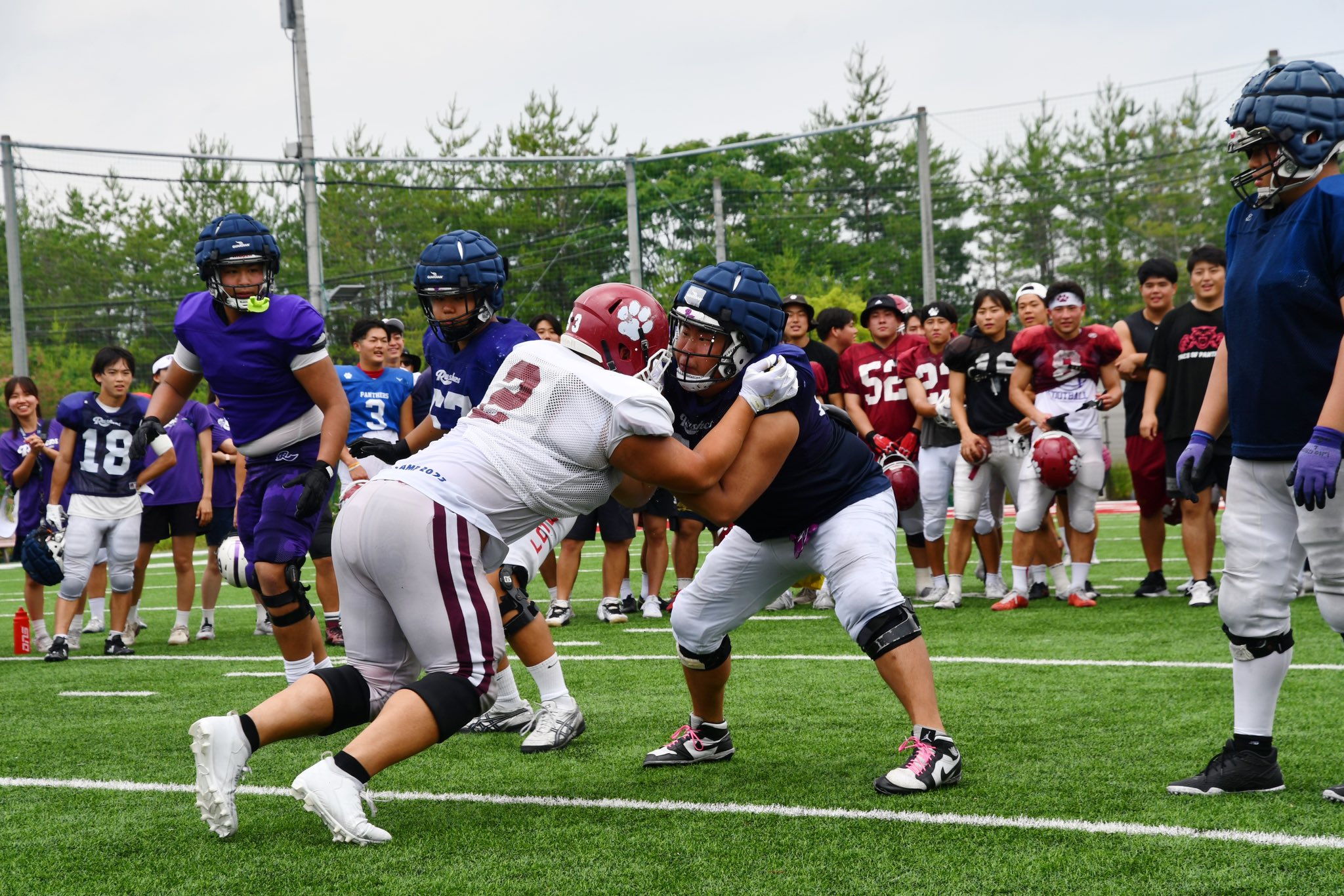 九州大学アメリカンフットボール部パルーカス | 【グッズ紹介