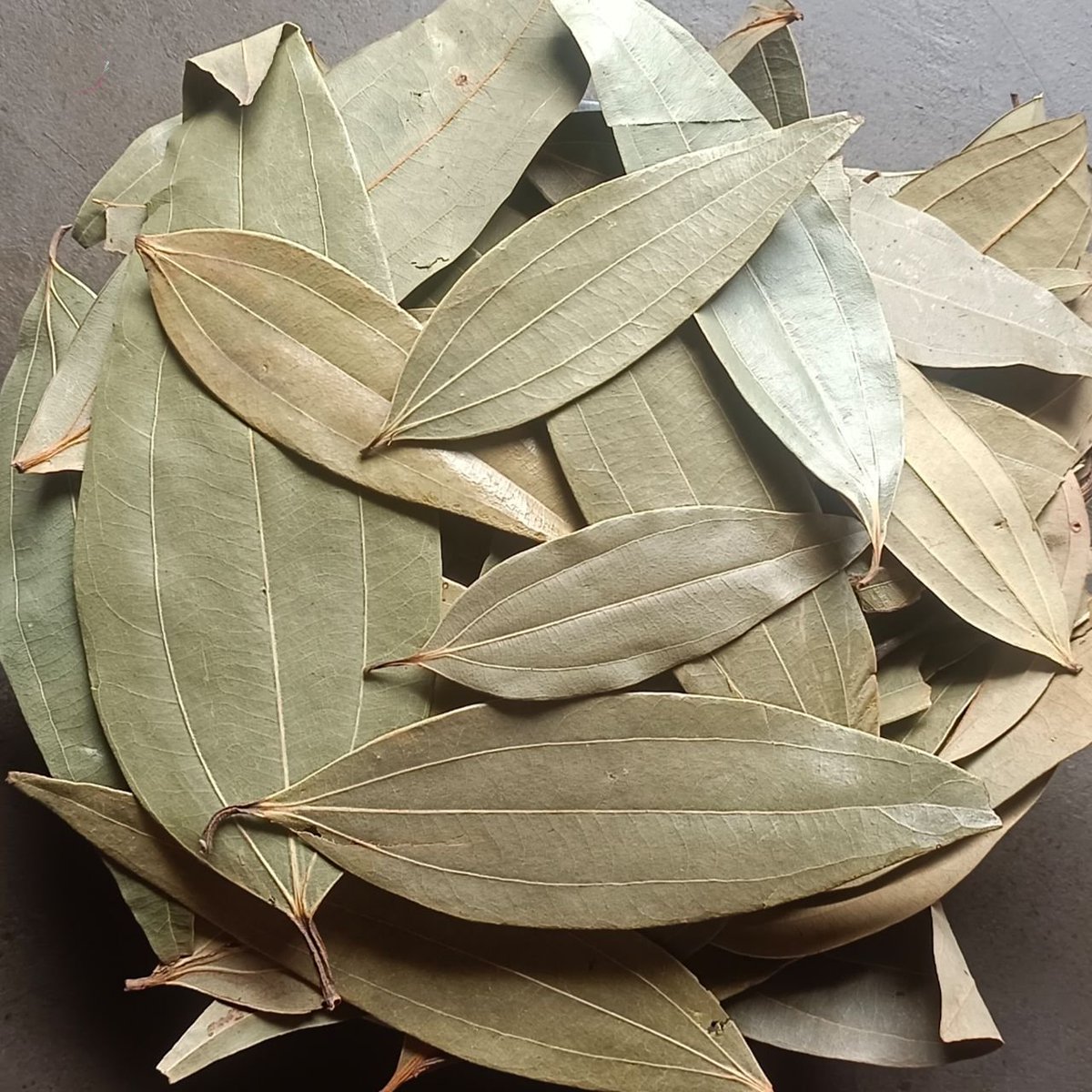 भोजन करते समय अक्सर हम सबने तेजपत्ते को थाली से बाहर कर दिया होगा पर जब आप इसके औषधीय मूल्य को जानेंगे तो इसको थाली से बाहर न करके बड़े चाव से इसका सेवन शुरू कर देंगे..!
तेजपत्ता को तेजपत्र, तेजपान, तमालका, तमालपत्र, तेजपात, इन्डियन केसिया आदि आदि नामों से जाना जाता है।
तेजपत्ता