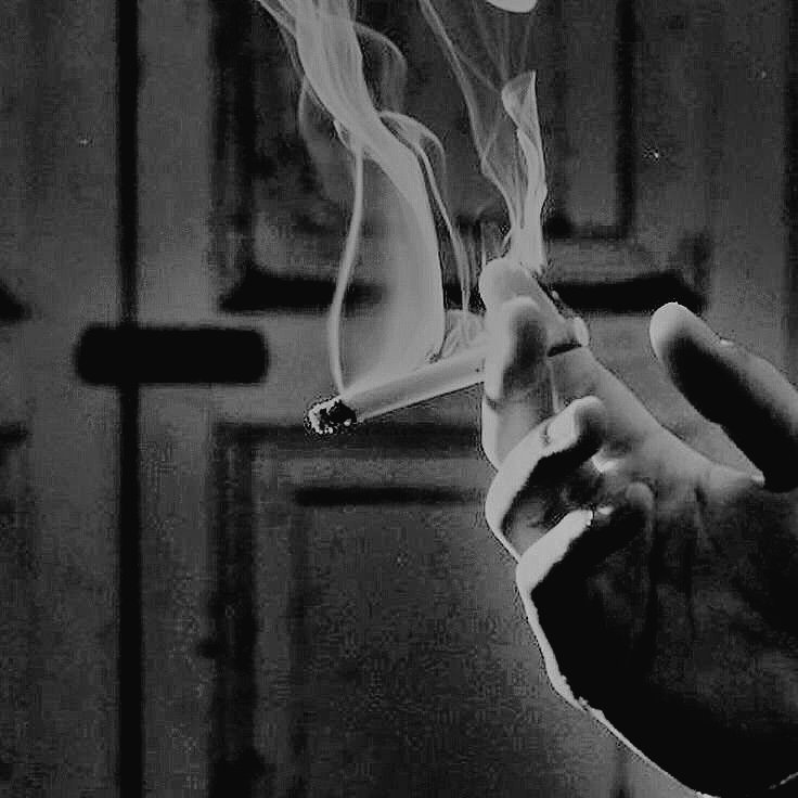 ㅤ
ㅤ
 ┄──┄ 𝓛 as noches lluviosas son mi favorita sinfonía: cada gota un latido lejano, cada trueno un suspiro contenido. 𝘏𝘢𝘺 𝘶𝘯𝘢 𝘣𝘦𝘭𝘭𝘦𝘻𝘢 𝘧𝘦𝘳𝘰𝘻 𝘦𝘯 𝘦𝘭 𝘤𝘪𝘦𝘭𝘰 𝘤𝘶𝘢𝘯𝘥𝘰 𝘥𝘦𝘤𝘪𝘥𝘦 𝘥𝘦𝘴𝘯𝘶𝘥𝘢𝘳𝘴𝘦...