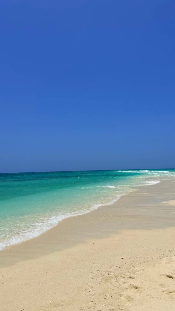 viewsoff_'s tweet image. Zanzibar