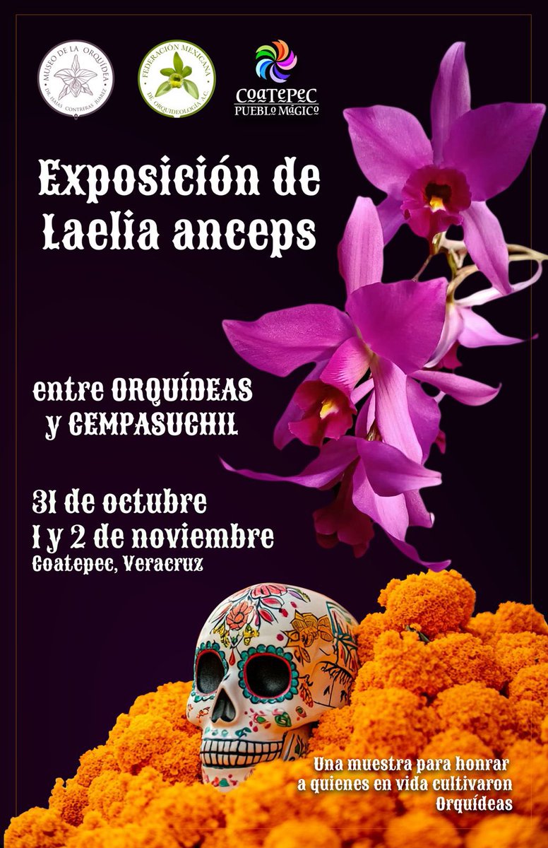 Visita Coatepec tweet media