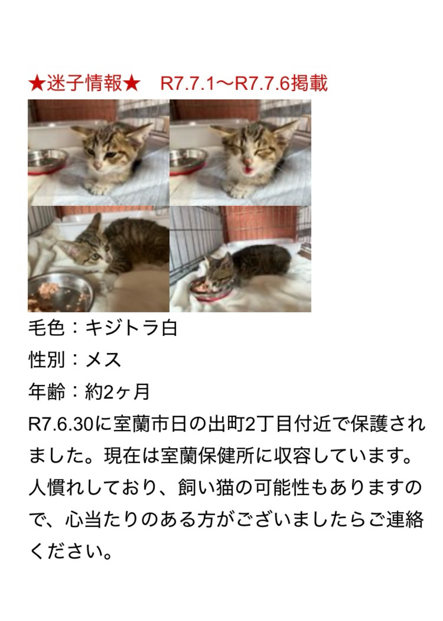 neko様 バイクモデル 黒/金 スケールモデル アオシマから塗装済み1/12