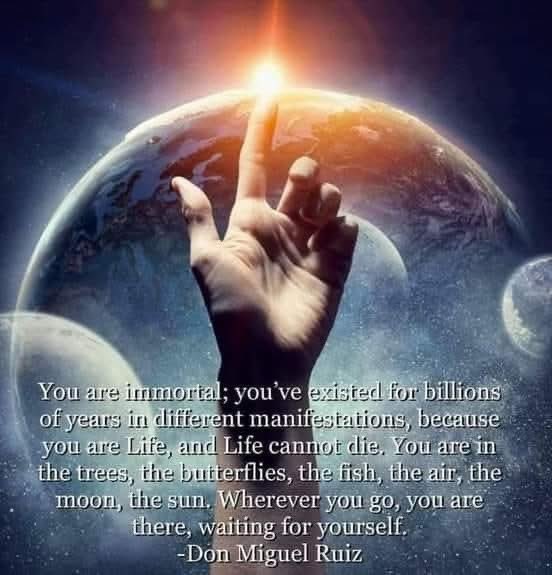 - Don Miguel Ruiz