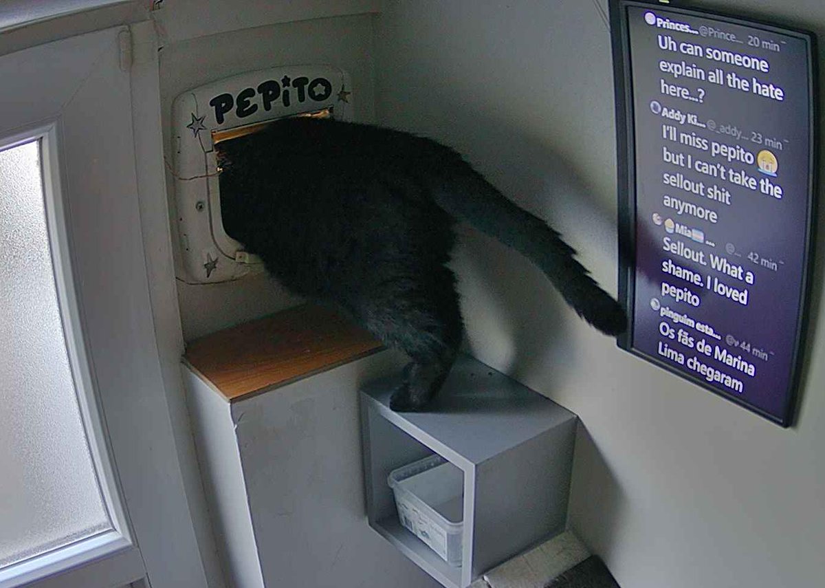 Pépito tweet media