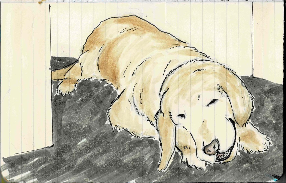 1yo1020's tweet photo. #イラスト #illustration https://t.co/ijH1PeemgI