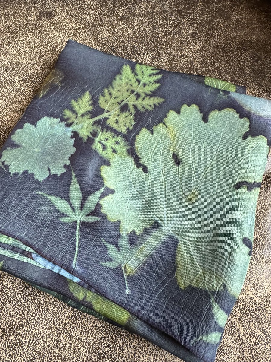 Jane Goodall tweet media