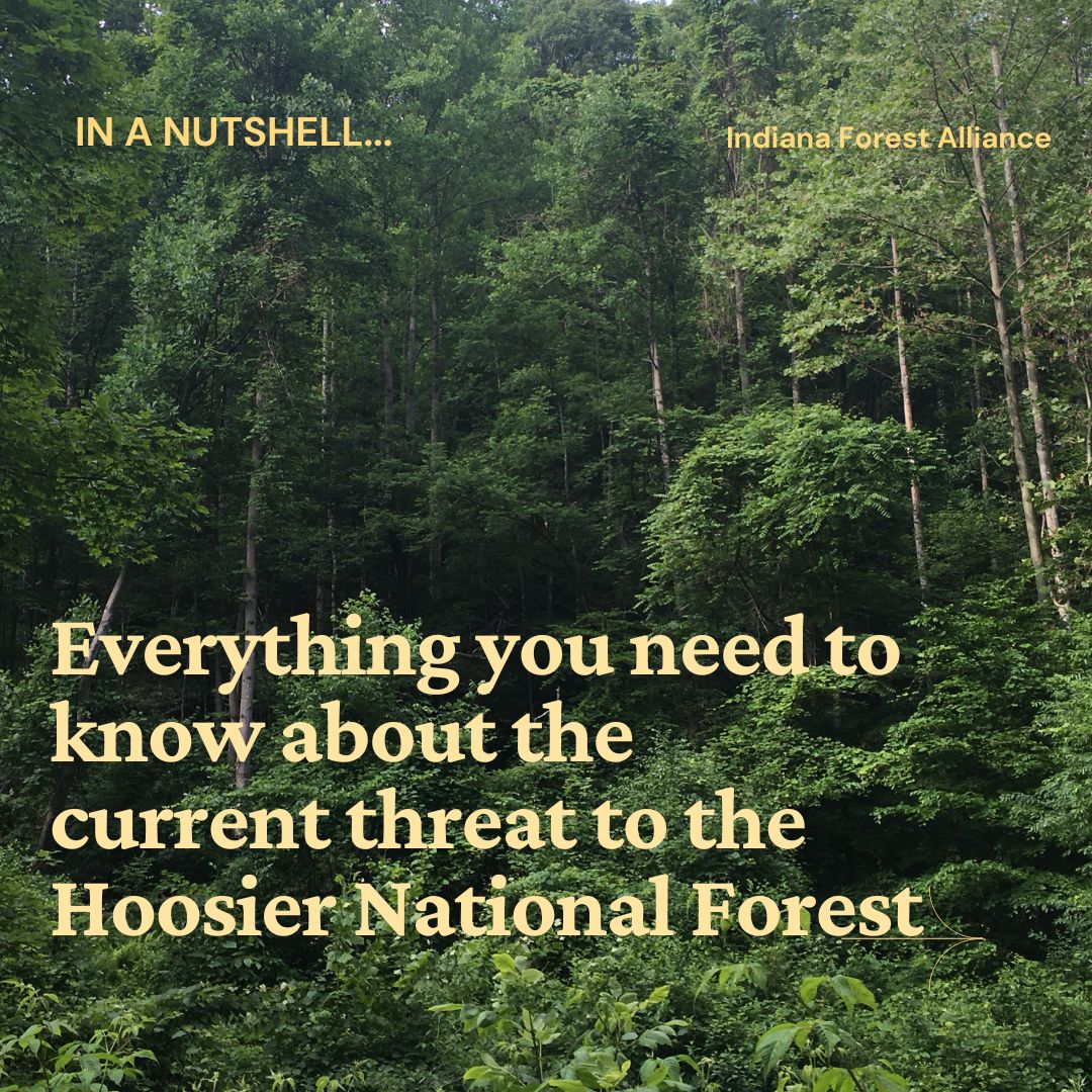 Indiana Forest Alliance tweet media