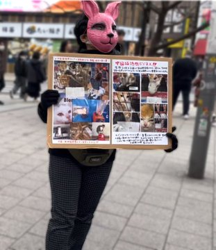 サンちゃん~✨🍀🍀✨~ tweet media