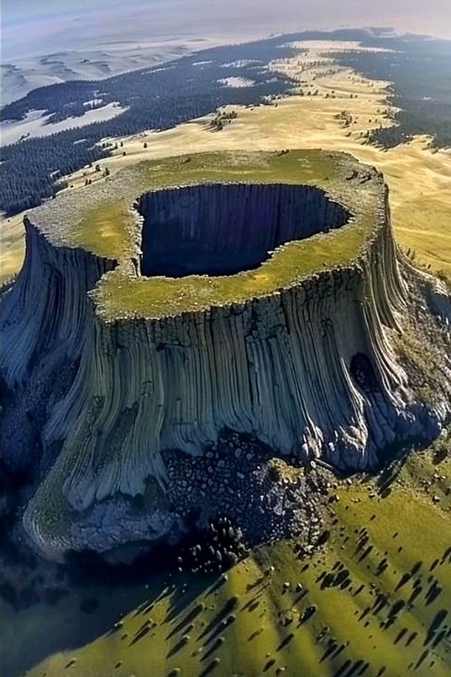 JulieParker144's tweet image. Ezekiel 17:24 And all the trees of the field shall know that I the LORD have brought down the high tree, have exalted the low tree, have dried up the green tree, and have made the dry tree to flourish: I the LORD have spoken and have done it. #IMAGERY #TYPES