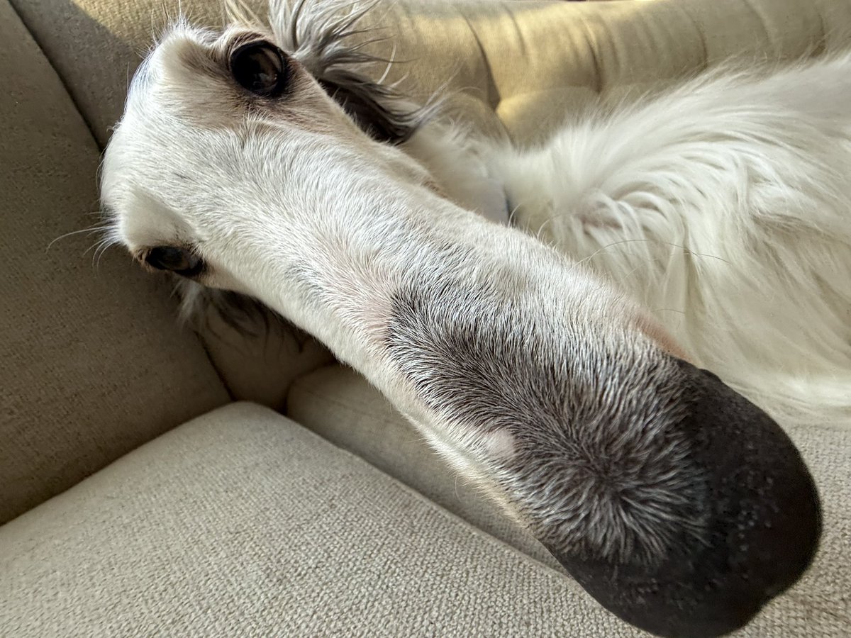 Longsword is going to be my personality for the next few months, sorry in advance 🙏