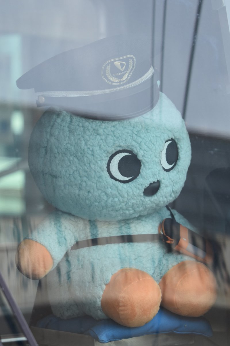 EXPYEXPY's tweet photo. 夏場はもころんの頭は帽子置き場になるようで https://t.co/EmqAEnAzfM
