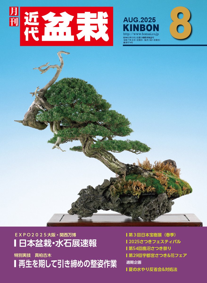 2012年3月号 近代盆栽 |雑木の植え替え特集|雅風展第37回レポート 2012年3月号 近代盆栽 |雑木の植え替え特集|雅風展第37回