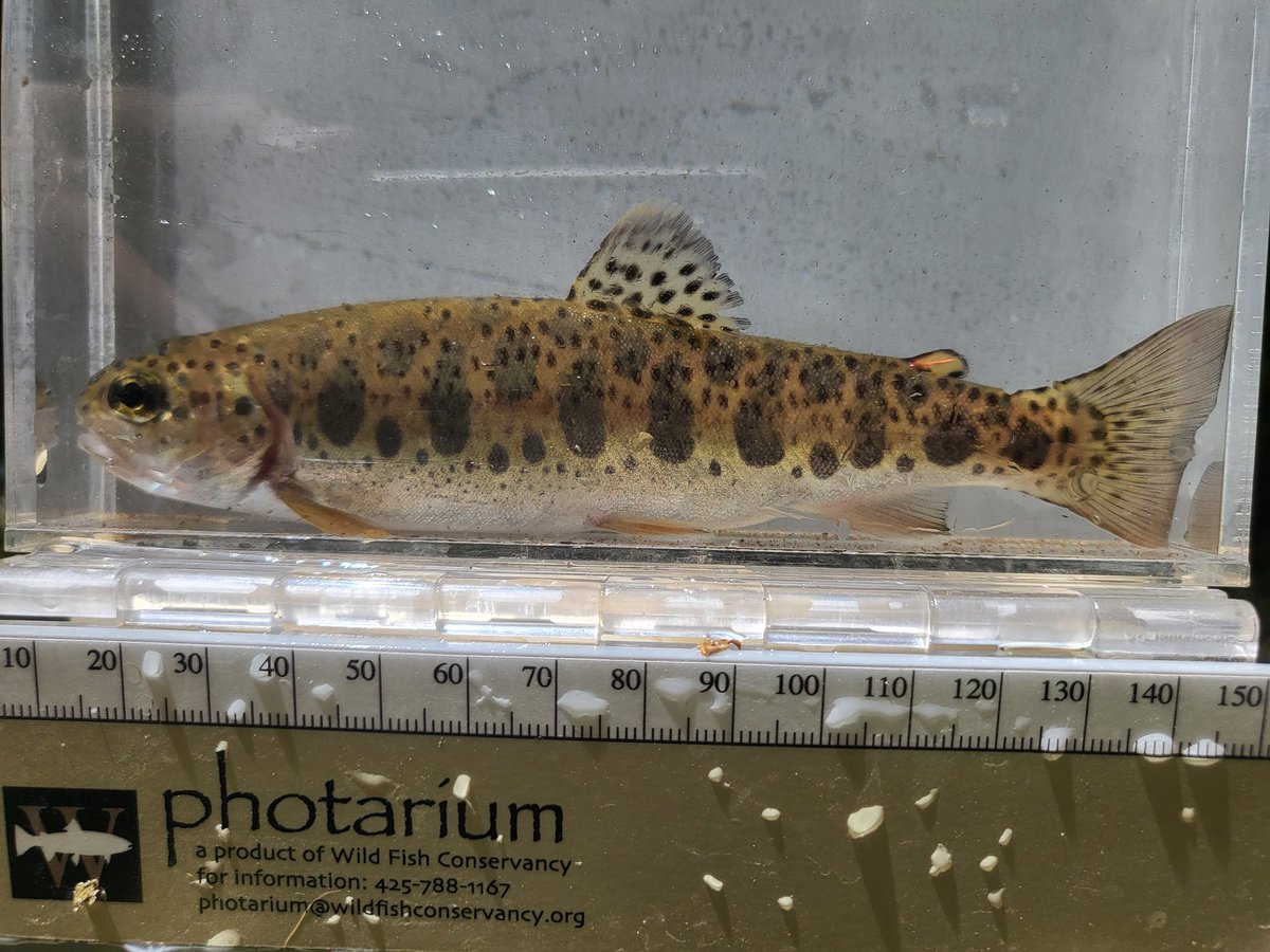 TU Science tweet media