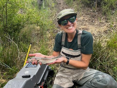 TU Science (@tuscience) on Twitter photo More Dry Creek #redbandtrout in the #boisefoothills with <a href="/collegeofidaho/">The College of Idaho</a> 's Dr Walser and Emma R, and <a href="/TroutUnlimited/">Trout Unlimited</a> 's Dr Lundberg More Dry Creek #redbandtrout in the #boisefoothills with <a href="/collegeofidaho/">The College of Idaho</a> 's Dr Walser and Emma R, and <a href="/TroutUnlimited/">Trout Unlimited</a> 's Dr Lundberg