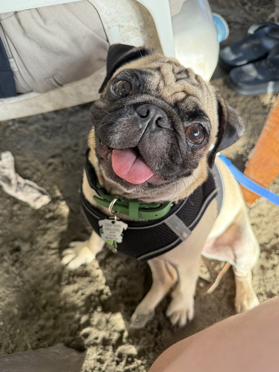 MariaCamilaL_'s tweet photo. Primer día de mi bebé chiquito en la playa 😍 https://t.co/1ZcRbnslmi