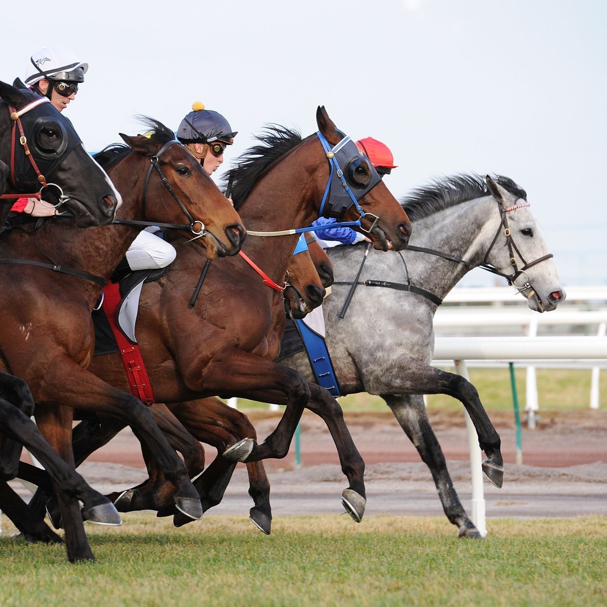 bet365_aus's tweet image. 🚨 Well-supported runners:

#Sandown
R1. His Lady Bay $26👉$9.00
R2. Ten Deep $4.60👉$3.00
R8. Bigolino $34👉$13

#EagleFarm
R8. Nippa's Nightcap $71👉$15

#Northam
R7. Major Mario $13👉$5.00

Markets ▶️ bit.ly/4a1aAim.