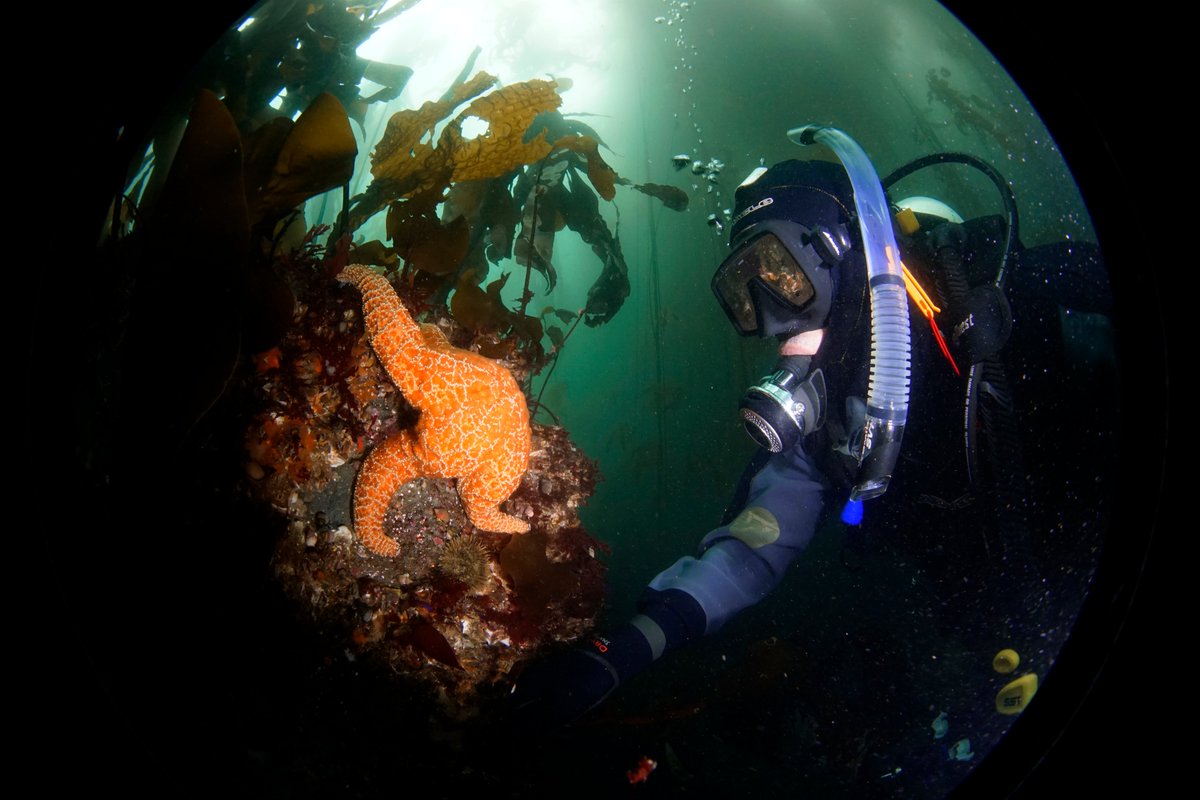 Did you know that 71% of the Earth’s surface is covered in water? On top of that, only approximately 20% of the ocean has been thoroughly explored. What unanswered questions do you have about the ocean? 🤔🔎🧭