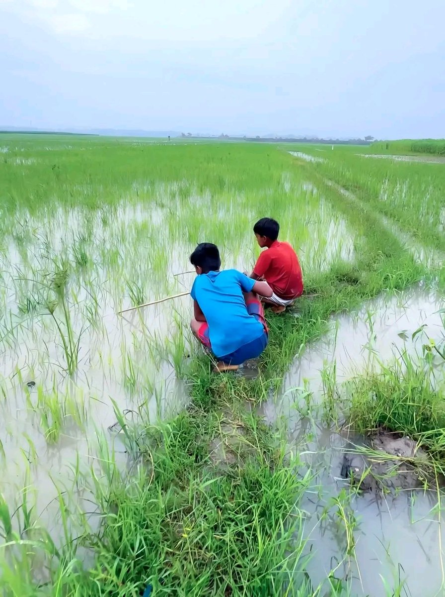 **"आज भी याद आता है वो बचपन...**  
जब मछली नहीं, बल्कि खुशियाँ पकड़ते थे हम।"  ❤️😊 
सुप्रभात 🌄