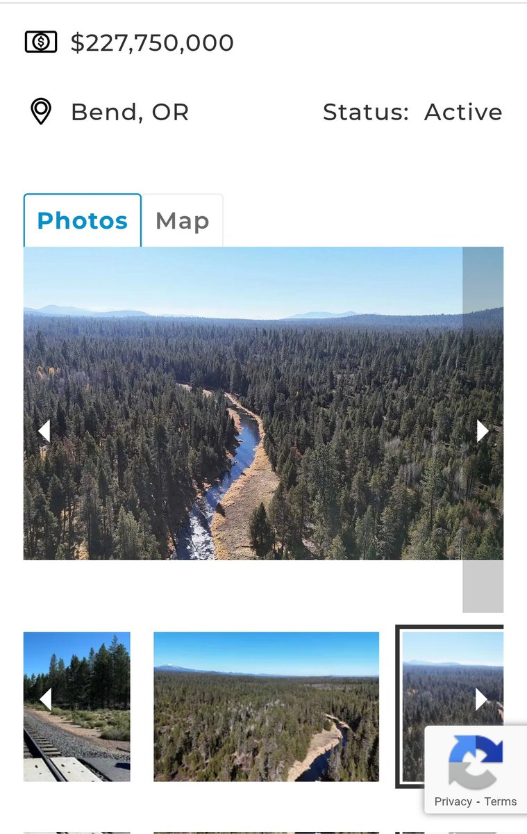RooneyMcGilli's tweet image. I'm putting together a team.
Hear me out, it's 200,000 acres.