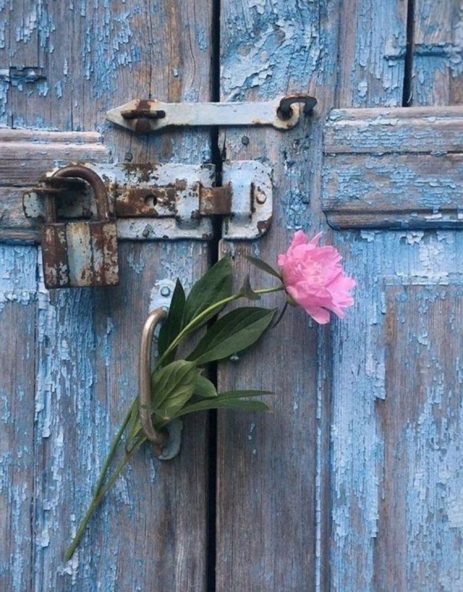 ↴' ❁♩

"
اللهم لطفا ممتدا منك يغمر أيامنا وحرزا منك يصرف عنا شرور الحياه يا الله..
ا

                       🤲🏻♥️
●══༅༄༅ ✰ ༅༄༅══●
#صباح_الخير 
#صباح_الاشياء_المشرقه
