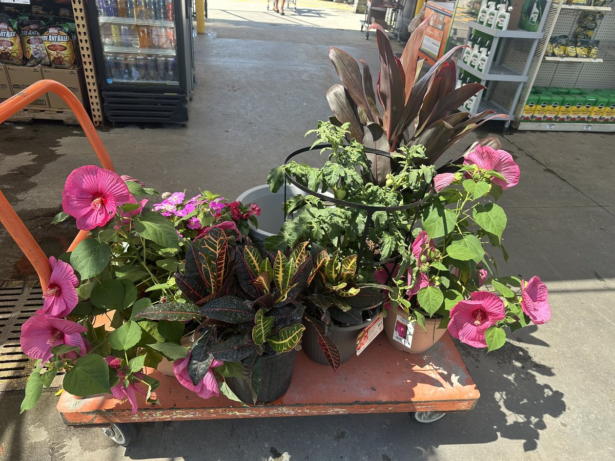 What an intentional way to bring in my birthMONTH! A phone call to find out about the EAP updates 😉, a 45 minute walk to restart my journey, and some plant shopping therapy.
