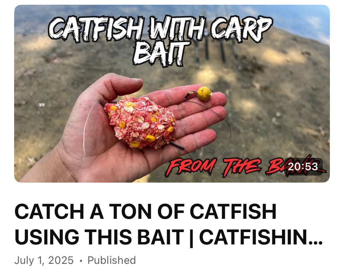 CATCH A TON OF CATFISH USING THIS BAIT | CATFISHING FROM THE BANK
youtu.be/kEn_SDHmn78