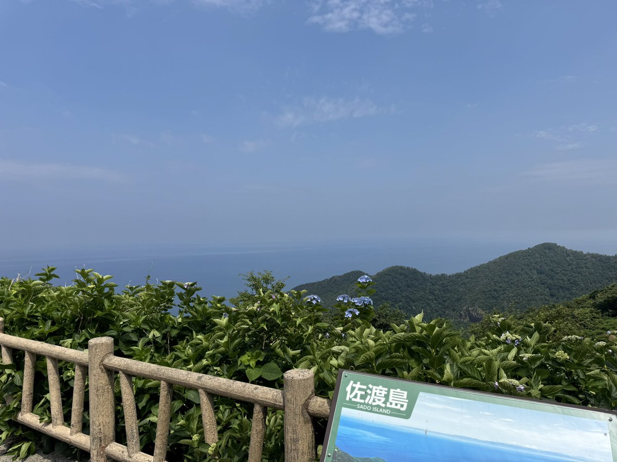 教えて頂いた弥彦山に来ました！
すんごい良い景色
佐渡島は…何とか見えるかな？？