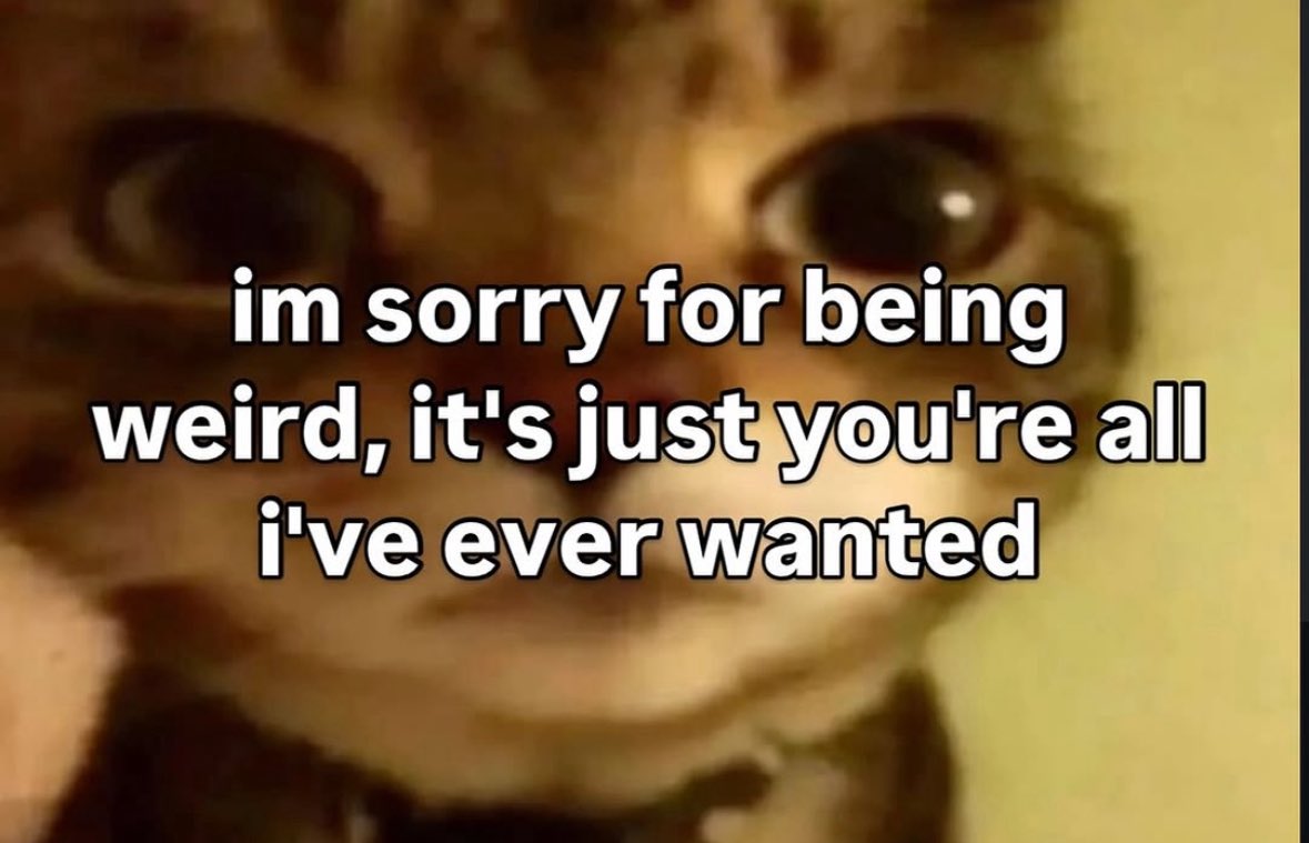 literallymecats's tweet photo. https://t.co/YlcDsU3DUe