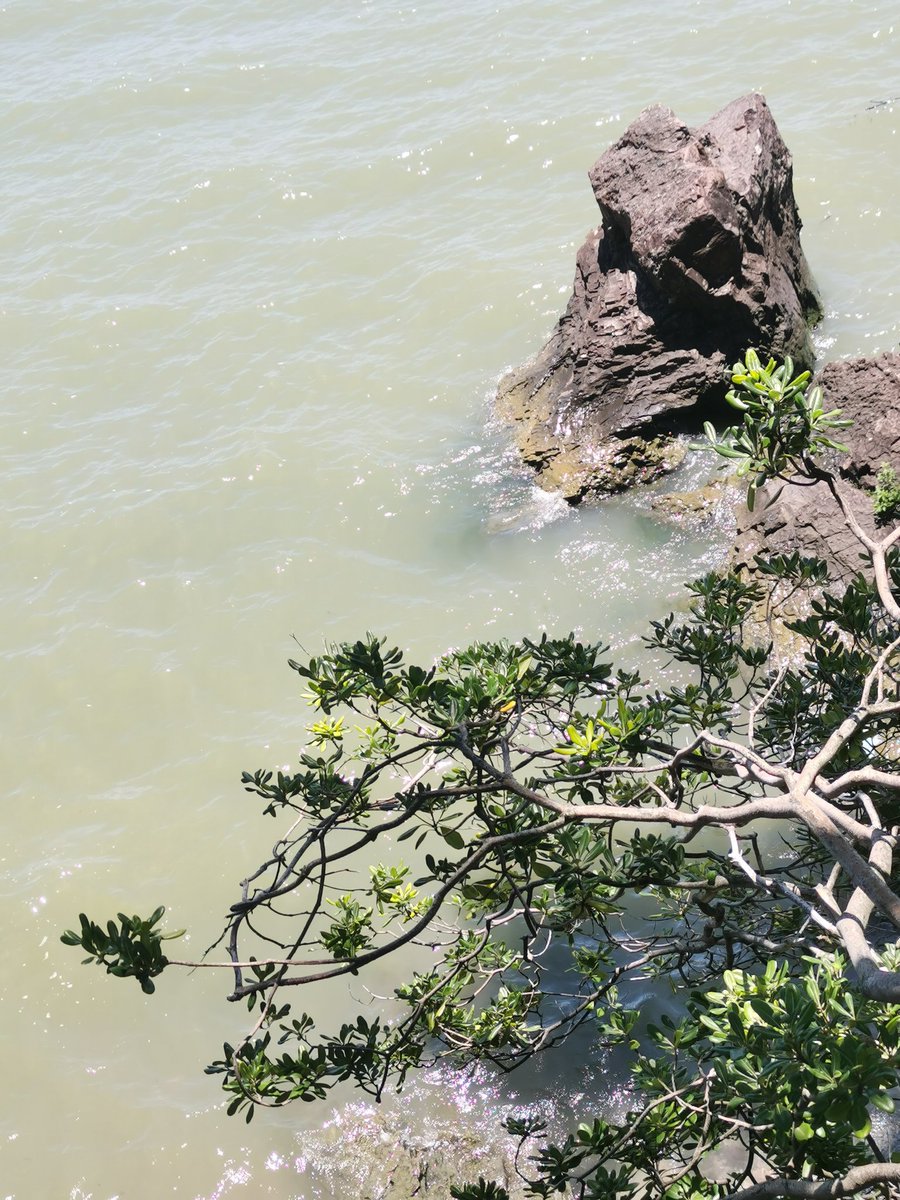 当天差点没死在回来的路上