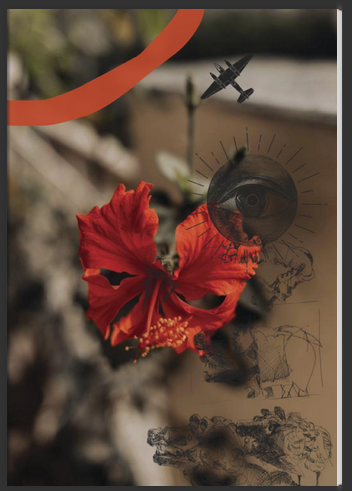 Frederick Noronha (FN) tweet media