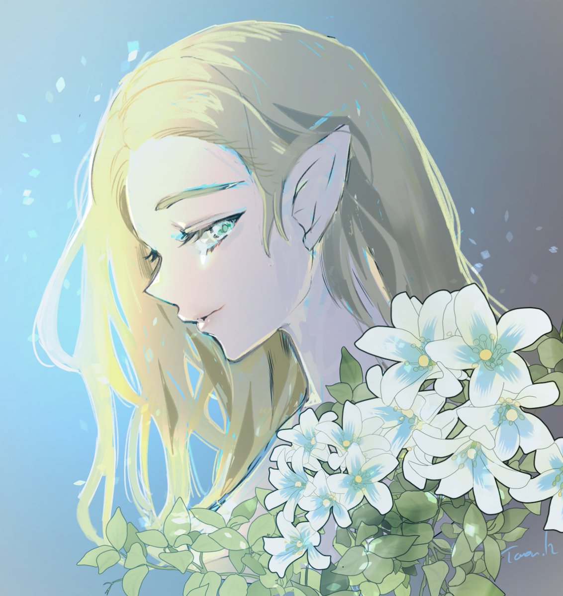 #ZeldaBreathoftheWild 
#ZeldaTearsOfTheKingdom