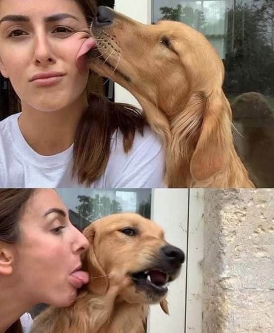 💖 (@twaniimals) on Twitter photo 