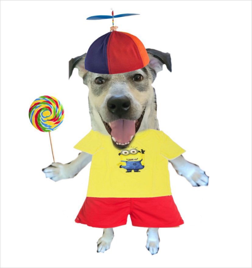 How it feels when the buccos are hot