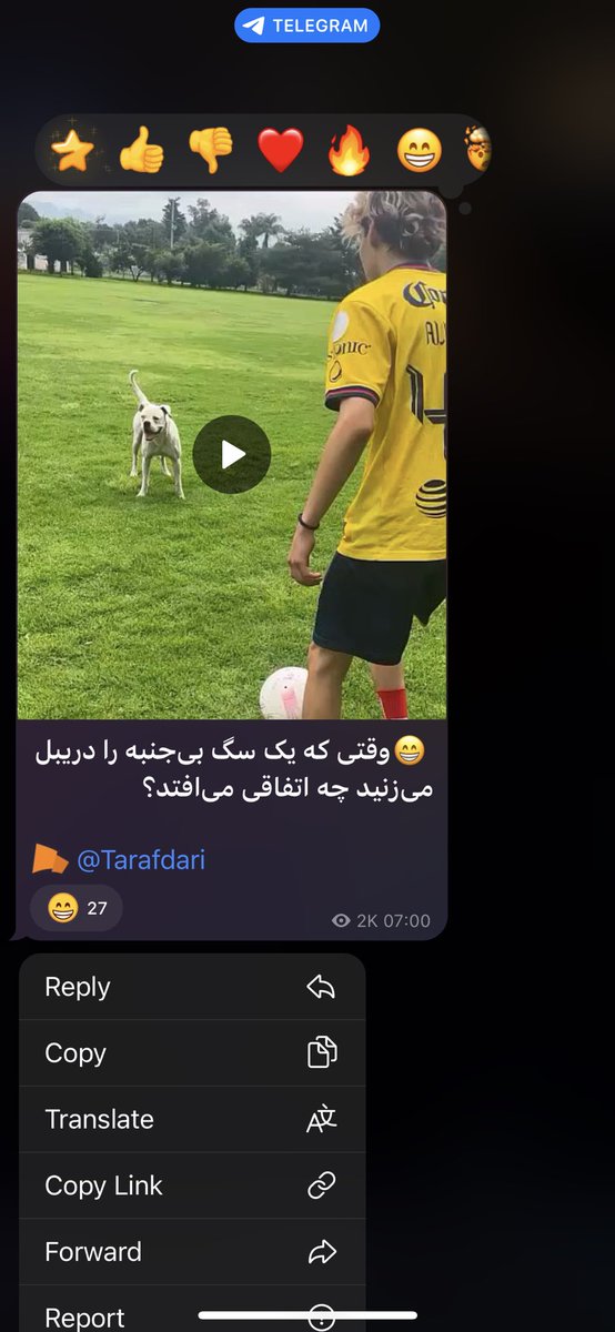 عرفان جبلی tweet media