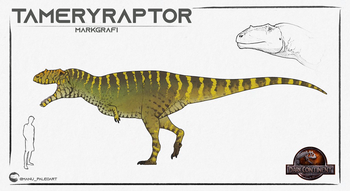 Jurassic_World_Fandom (@brycenator100) on Twitter photo 🚨Check Out The Stylized Design For The Tameryraptor In My Novel: The Dark Continent 🚨
•
Commissioned By: <a href="/MDinoart/">Manu_Paleoart</a> 🚨Check Out The Stylized Design For The Tameryraptor In My Novel: The Dark Continent 🚨
•
Commissioned By: <a href="/MDinoart/">Manu_Paleoart</a>