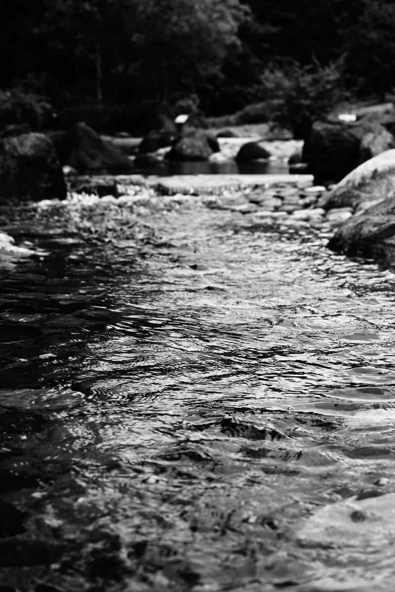 PAPUA_PHOTO3's tweet image. 渓流　【モノクロ】

#スナップ写真
#写真好きな人と繋がりたい