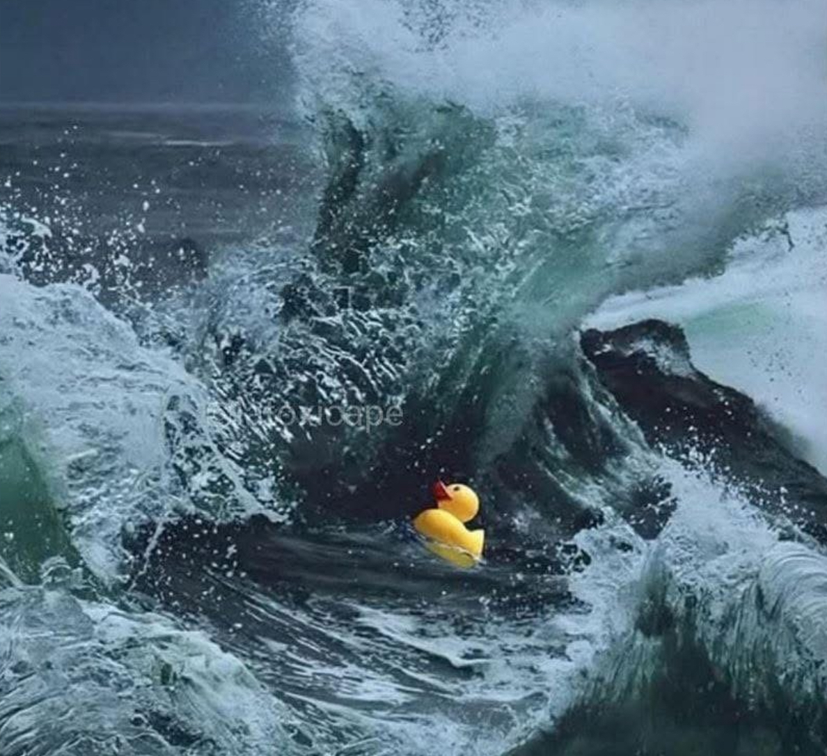 Yo en medio de mis responsabilidades de adulto.