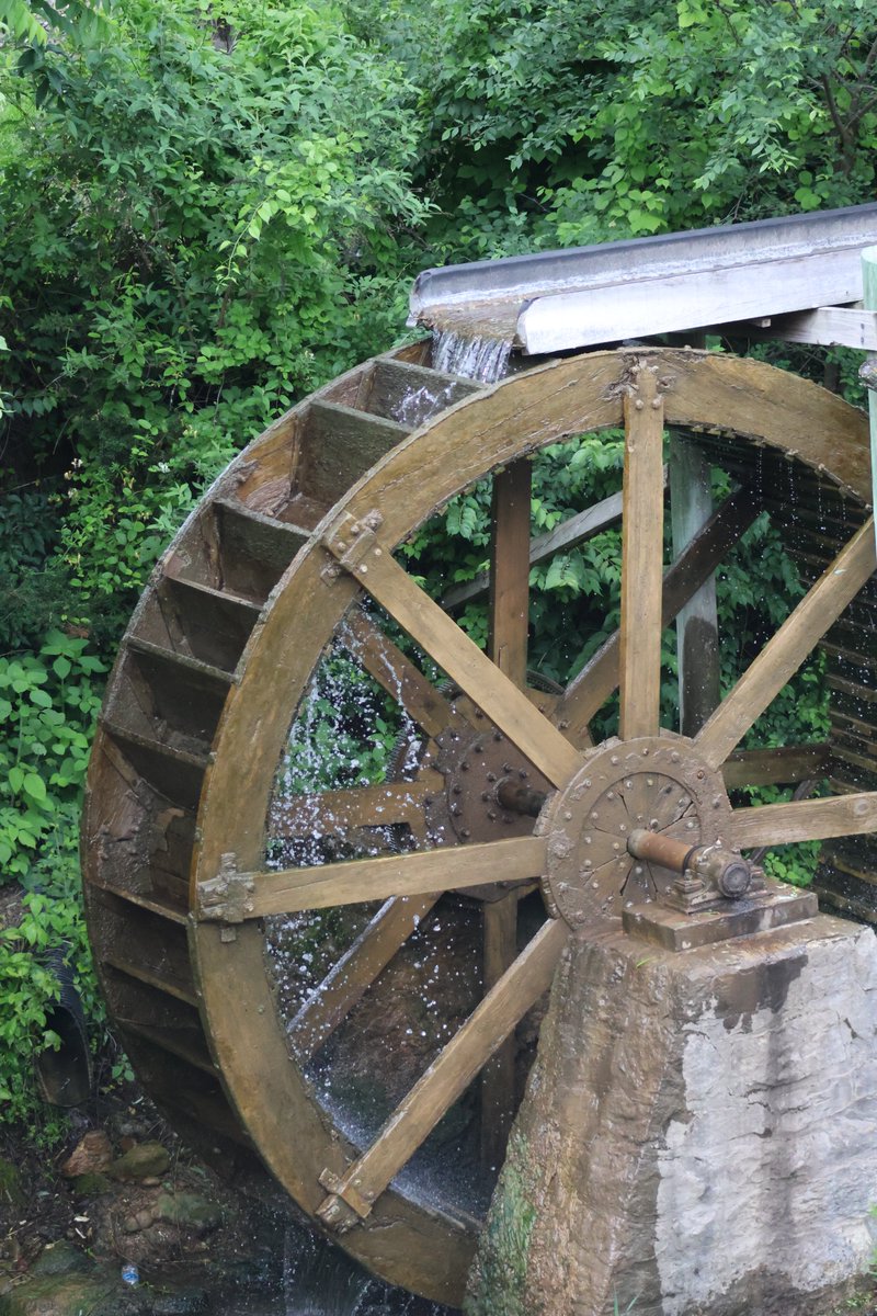 Sweet Rose Photography (@gearhart4) on Twitter photo 