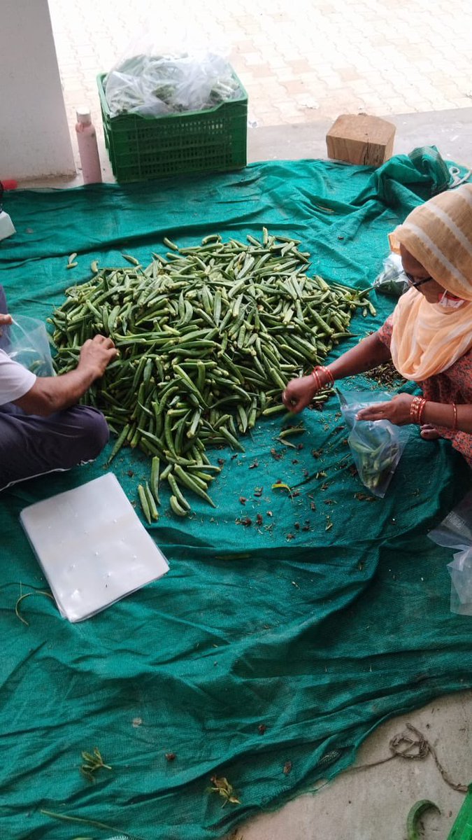 Manual sorting grading in progress in one of our HFN Kisan Center..

Leave No Farmer Behind #HFN