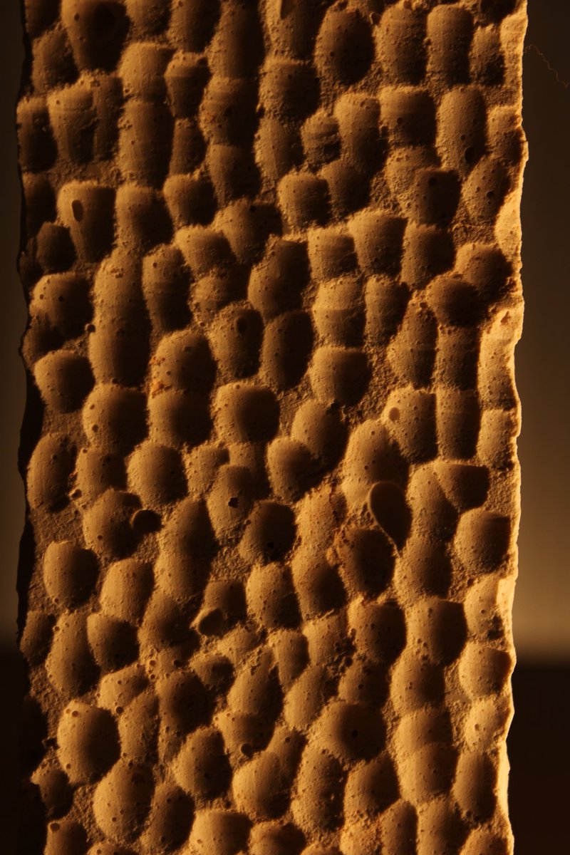 Mi nuevo pasatiempo con fines de lucro es la escultura.
Esta precisamente se llama Coral I. De 200x60x60mm. Material yeso.