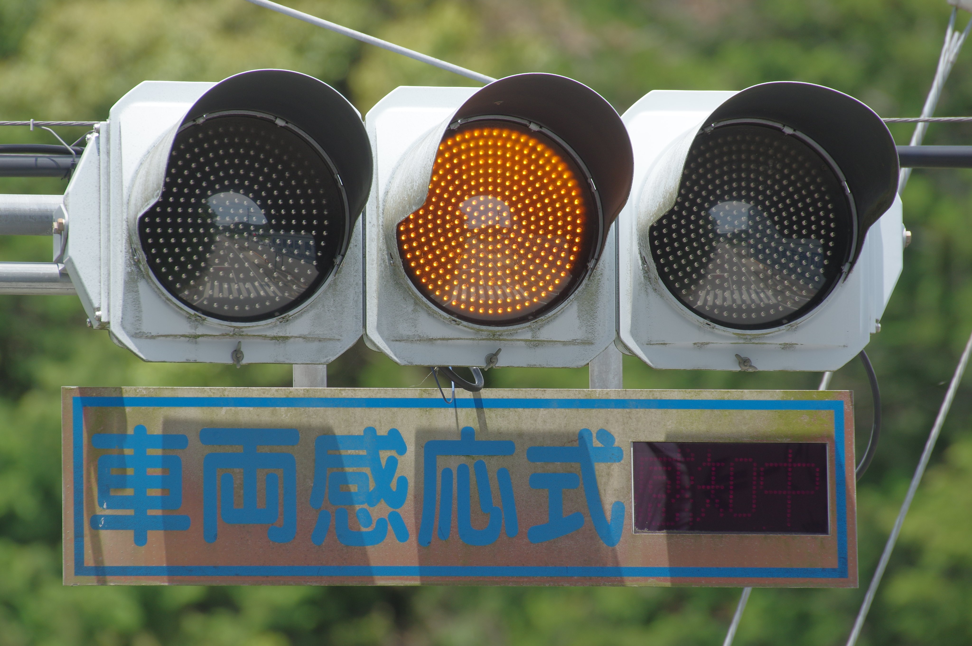 マロン★フォロー割引 backend=imagemagick;version=1;
