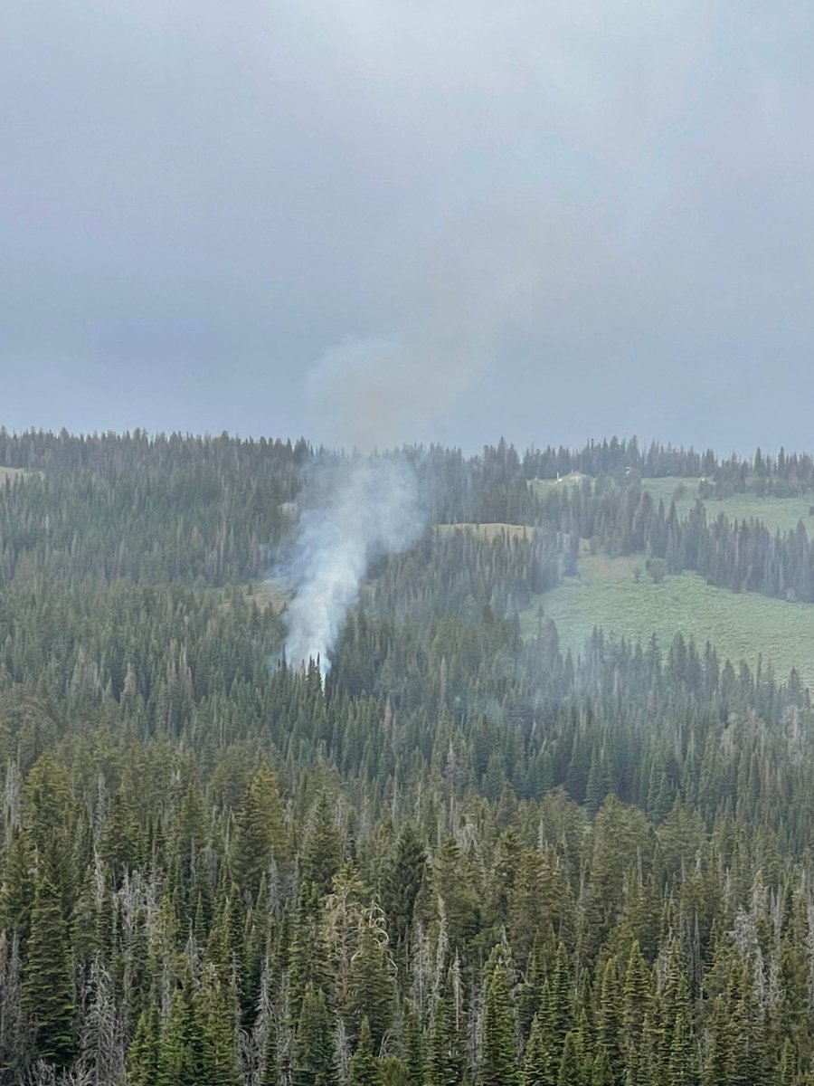 BridgerTetonNF's tweet photo. Bridger-Teton National Forest firefighters are responding to the 3-ac  #PineGrove fire in Sublette County, WY,  2 miles from Deadline Ridge,  roughly 10-mi southwest of Big Piney. 2 helicopters suppressing the fire and a crew is mobilizing. #BTNF https://t.co/qFvNulb8fW