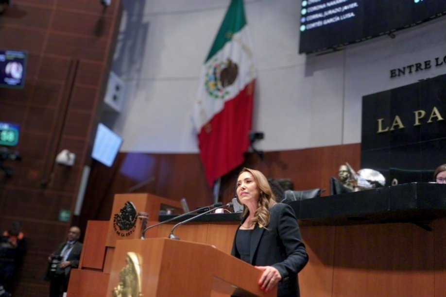 ¿Te suena eso de proteger a la ciudadanía?
¡Olvídalo!😓

Lo que los #morenarcos presentaron es una trampa:
La ley general del sistema nacional de seguridad pública NO toca al crimen, no limpia a las policías, no protege a las víctimas...

Pero sí le da al gobierno más poder para